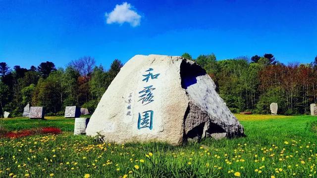 腾易联手打造易车年货节直播夜，玩转视频号汽车直播电商生态模式
